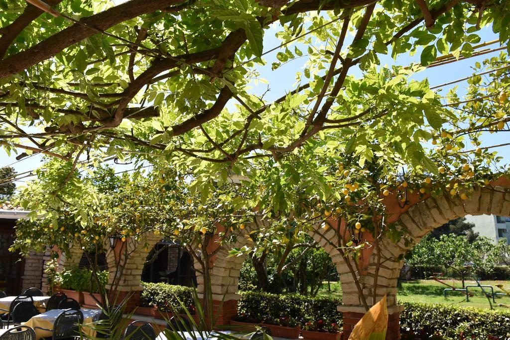 Guest House Fortuna Novigrad Istria Extérieur photo